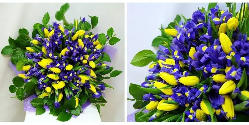 Ирисовый Рай