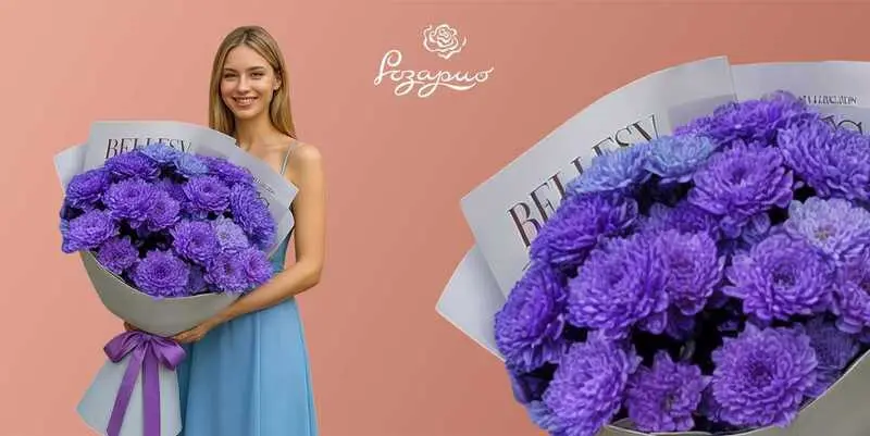 Букет гигант из фиолетовых хризантем, фронтальный вид, в руках у девушки