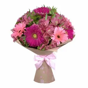 Розовый фламинго